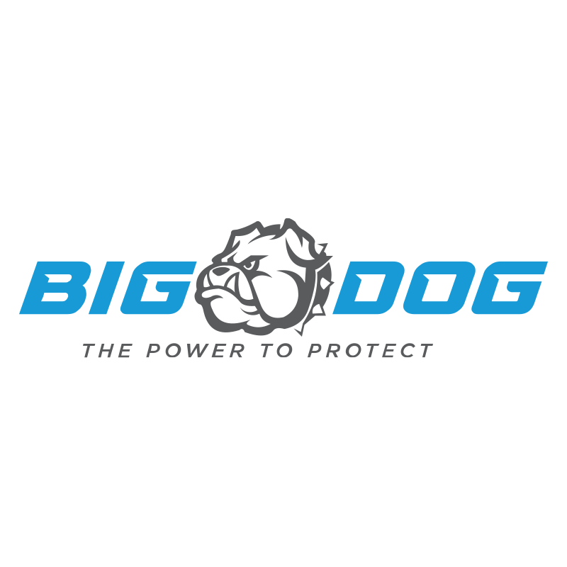 Big Dog Power 