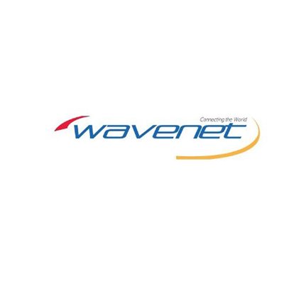 Wavenet CAT5E Riser CMR 350MHZ Reeflex(White)