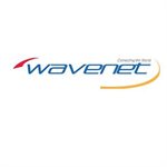 Wavenet Cat 6E PVC SC 550MHZ NO SPLINE 1,000' REELEX II(orang