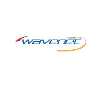 Wavenet Cat 6E PVC SC 550MHZ NO SPLINE 1,000' REELEX II(purpl