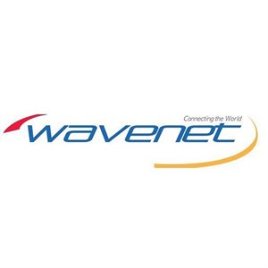 Wavenet Cat 6E PVC SC 600MHZ w / SPLINE 1,000' REELEX II(white