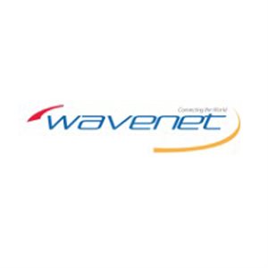 Wavenet 16 / 2C 65Strand DB 500' REELEX(black)