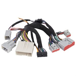 Axxess Ford Plug-N-Play T-Harness for AX-DSP