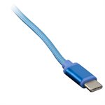 Axxess Blue USB C Replacement Cable