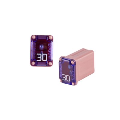Install Bay 30 Amps Micro Female Time Delay Fuse (single)