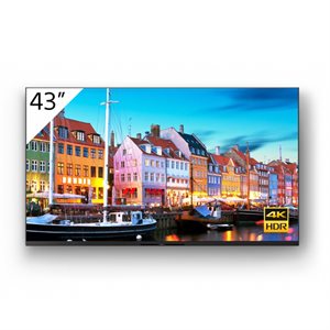 Sony Pro 43" 4K LED TV w /  3yr warranty