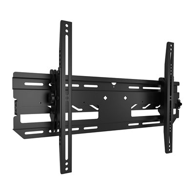 Chief Tilting Outdoor Wall Mount