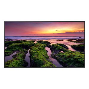 Samsung 55” 4K UHD Commercial QBB-N TV