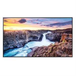 Samsung 65” 4K LED Commercial Display