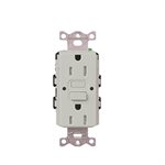 Lutron 15A GFCI Self-Testing Duplex Receptacle (palladium)