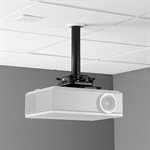 Chief Suspended Ceiling Projector System (Black)