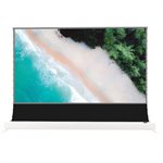 Samsung 120" Rollable Easy Up Screen w /  ALR