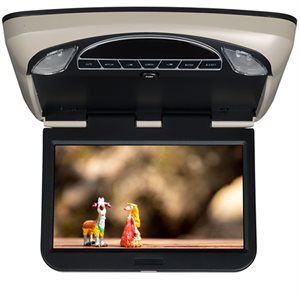 Movies2Go 13.3” Hi-Def Digital LED Backlit Monitor w /  DVD Player