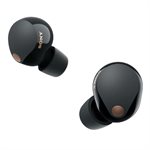 Sony True Wireless Earphones w /  mic(black)