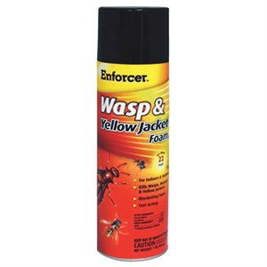 Enforcer 16oz Wasp and Hornet Foam Spray